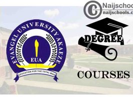 Degree Courses Offered in Evangel University