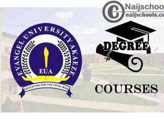 Degree Courses Offered in Evangel University