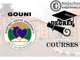 Degree Courses Offered in GOUNI for Students to Study