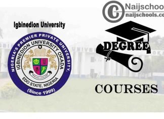 Degree Courses Offered in Igbinedion University