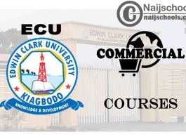 Edwin Clark University Courses for Commercial Students