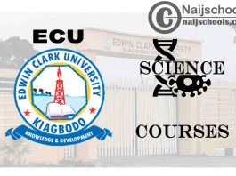Edwin Clark University Courses for Science Students