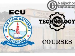 Edwin Clark University Courses for Technology Students