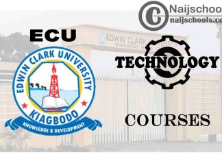 Edwin Clark University Courses for Technology Students