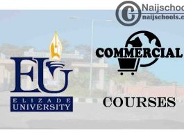 Elizade University Courses for Commercial Students