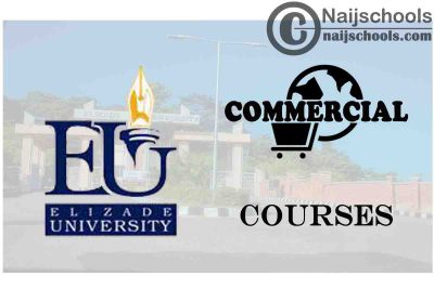 Elizade University Courses for Commercial Students