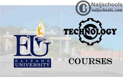 Elizade University Courses for Technology Students