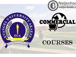 Evangel University Courses for Commercial Students