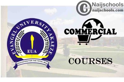 Evangel University Courses for Commercial Students