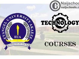 Evangel University Courses for Technology Students