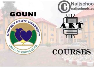 GOUNI Courses for Art Students to Study; Full List