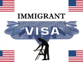How to Immigrate to the USA as a Carpenter in 2023