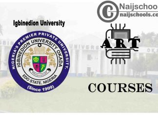 Igbinedion University Courses for Art Students to Study