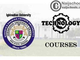 Igbinedion University Courses for Technology Students