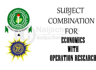 Subject Combination for Economics with Operation Research