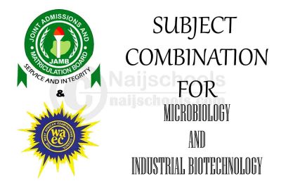 Subject Combination for Microbiology and Industrial Biotechnology