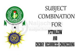 Subject Combination for Petroleum and Energy Resources Engineering