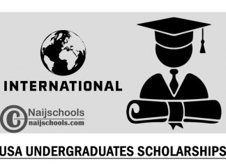 USA Fully-funded International Undergraduate Scholarships 2022