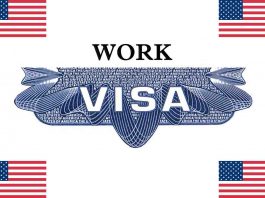 USA Work Visa Types, Requirements and How to Apply in 2023
