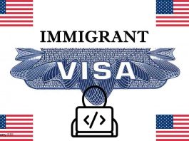 How to Immigrate to USA as a Web Developer in 2023