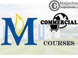 Madonna University Courses for Commercial Students