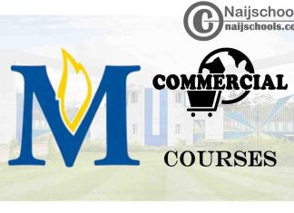 Madonna University Courses for Commercial Students