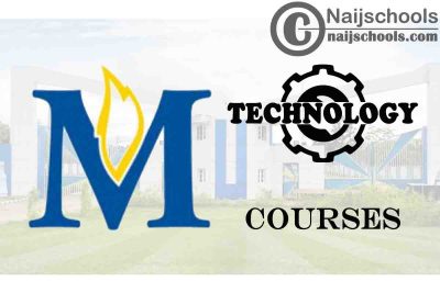Madonna University Courses for Technology Students