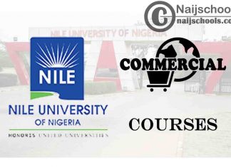Nile University Courses for Commercial Students