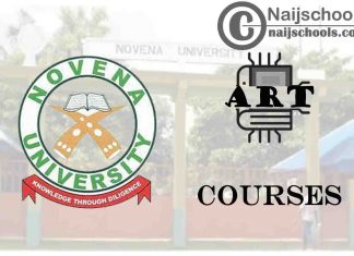 Novena University Courses for Art Students