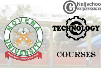 Novena University Courses for Technology Students