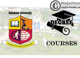 Degree Courses Offered in Oduduwa University