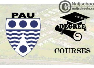 Degree Courses Offered in Pan-Atlantic University