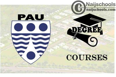 Degree Courses Offered in Pan-Atlantic University