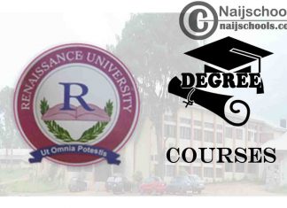 Degree Courses Offered in Renaissance University
