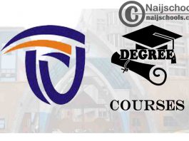 Degree Courses Offered in Rhema University