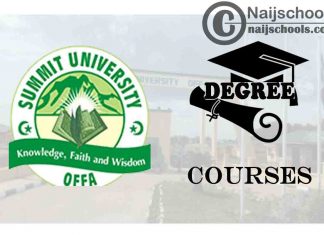 Degree Courses Offered in Summit University
