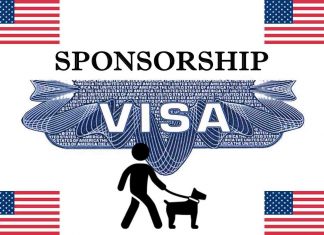 Dog Walker Jobs in USA with Visa Sponsorship 2023
