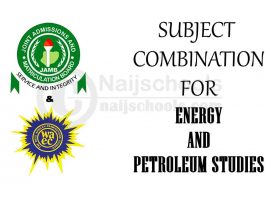 Subject Combination for Energy and Petroleum Studies