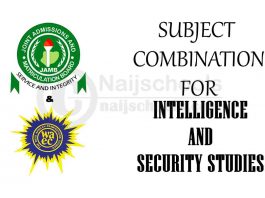 Subject Combination for Intelligence and Security Studies