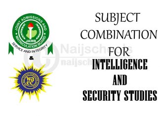 Subject Combination for Intelligence and Security Studies
