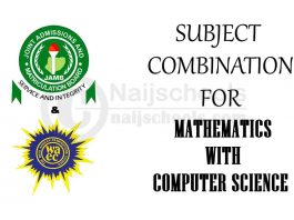 Subject Combination for Mathematics with Computer Science