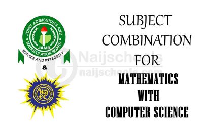 Subject Combination for Mathematics with Computer Science