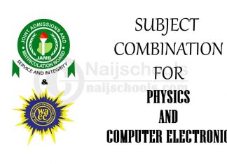 Subject Combination for Physics and Computer Electronic