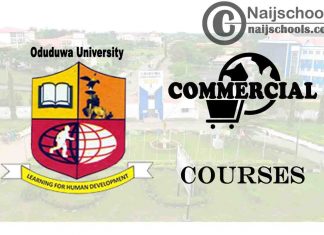 Oduduwa University Courses for Commercial Students