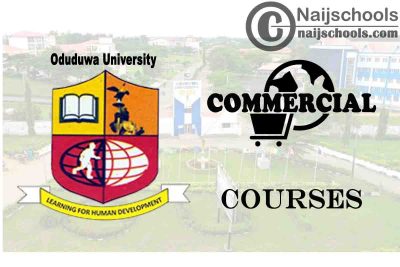 Oduduwa University Courses for Commercial Students