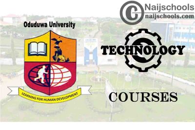 Oduduwa University Courses for Technology Students