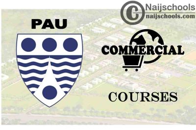 Pan-Atlantic University Courses for Commercial Students