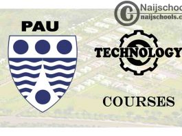 Pan-Atlantic University Courses for Technology Students