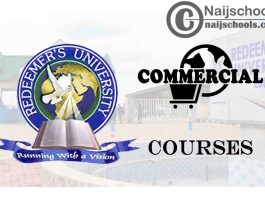 Redeemer’s University Courses for Commercial Students