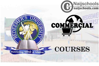 Redeemer’s University Courses for Commercial Students